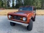 Thumbnail Photo 83 for 1975 Ford Bronco